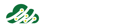 Cinch-IT